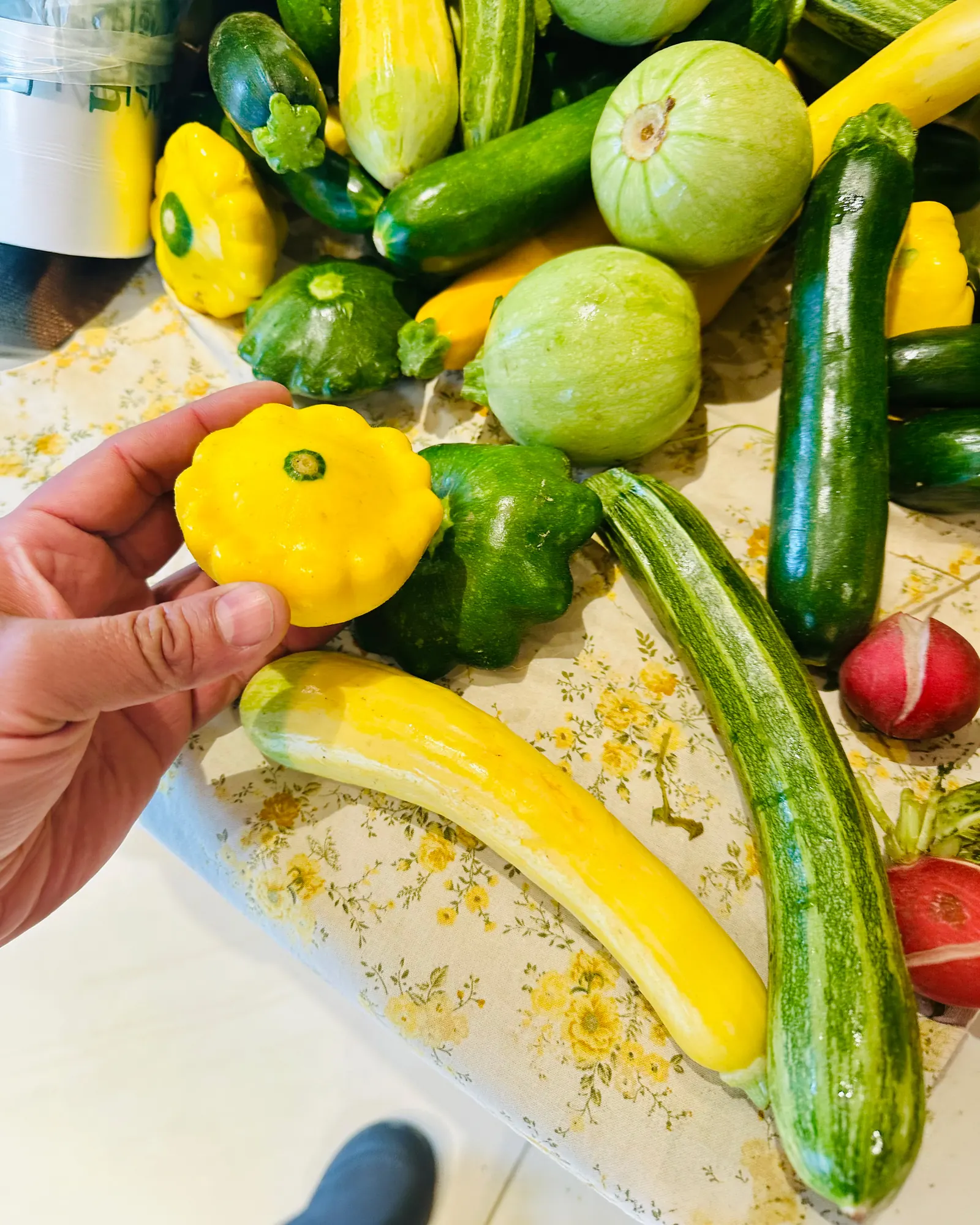 Seasonal Market Squash Selection - Lugo's Kitchen