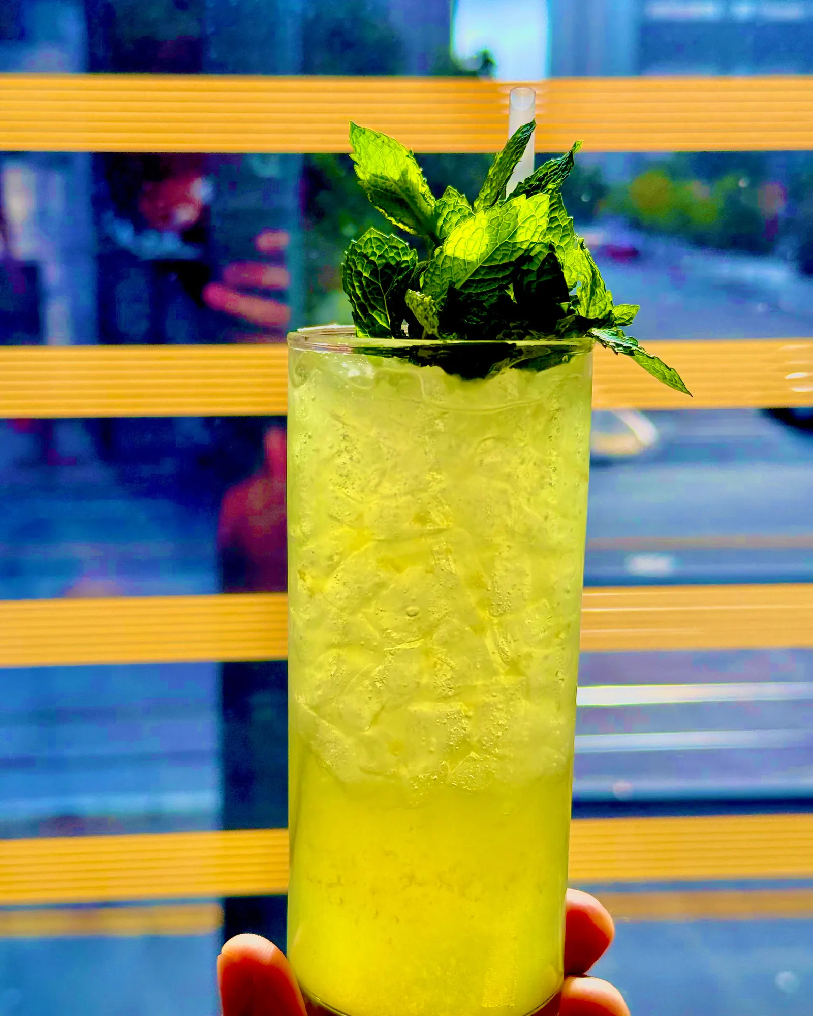 Signature Mint Craft Cocktail - Lugo's Kitchen